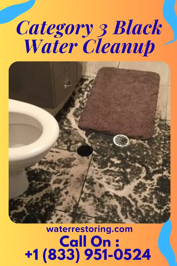 Category 3 Black Water Cleanup in North Ogden, UT