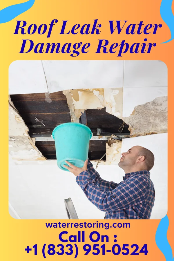 Roof Leak Water Damage Repair in North Ogden, UT